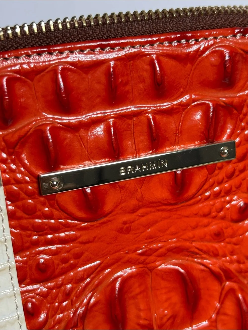Brahmin Duxbury Cabana Vertical Vineyard Satchel and Checkbook Wallet Set
